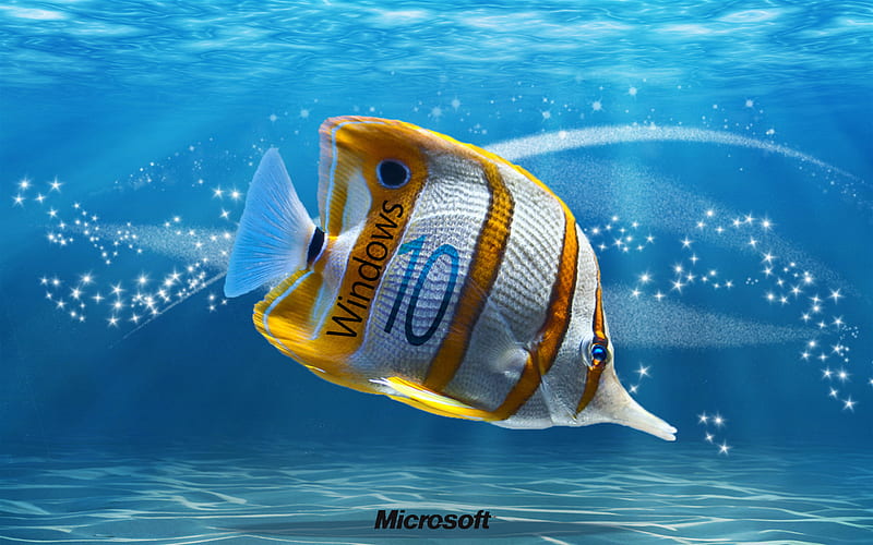 underwater, windows 10, fish, creative, Microsoft, HD wallpaper