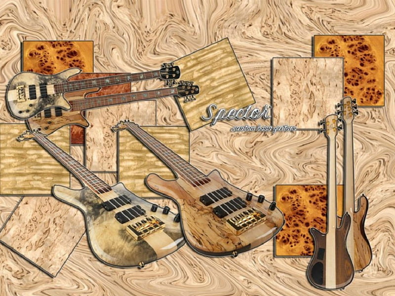 spector bass guitar, instrument, guitar, bass, spector, HD wallpaper