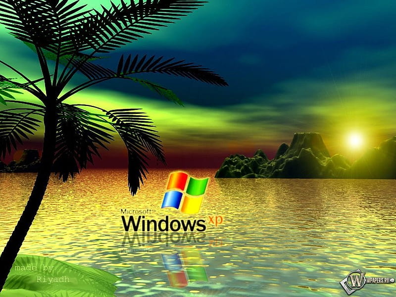Windows Xp, windows, aurora, palm, technology, sea, HD wallpaper