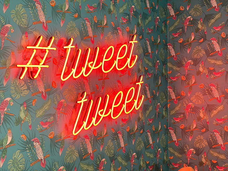 twitt, neon, inscription, birds, pattern, HD wallpaper