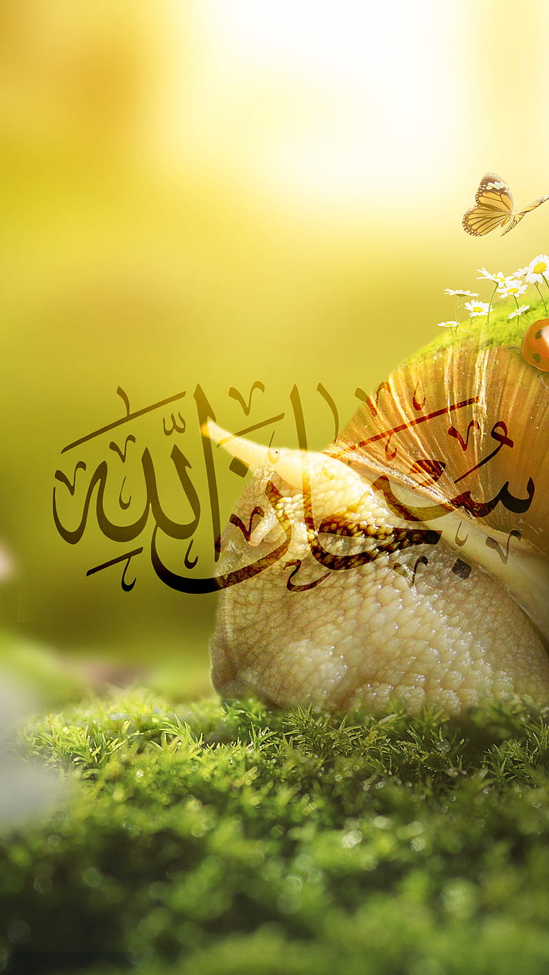 Subhan Allah, islam, islamic, HD phone wallpaper | Peakpx