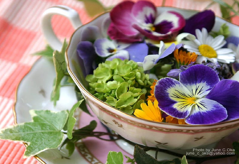 Cup of flowers., still life, saucer, flower, cup, ivy, petal, leaf, HD wallpaper