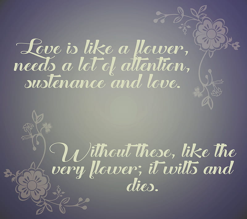 Love is like a flowe, flower, love, love is like a flower, quote, text, HD wallpaper