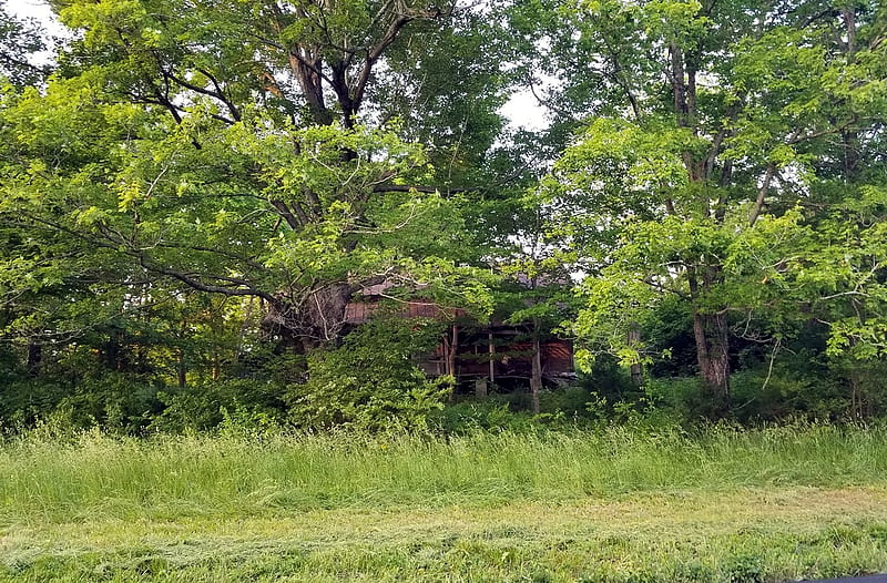 Rundown, Rural, House, Tennessee, Architecture, HD wallpaper