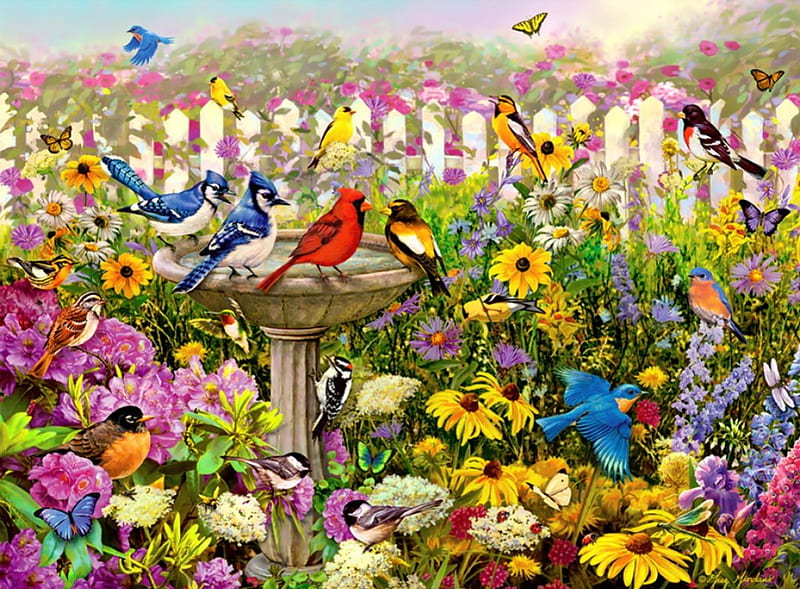 Birds of summer, fence, pretty, colorful, bonito, fragrance, cardinals, nice, freshnerss, sunflowers, painting, flowers, friends, art, fountain, lovely, burds, scent, sky, yard, song, paradise, birdhouse, summer, garden, nature, HD wallpaper