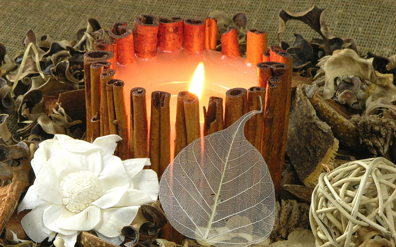 cinnamon candle, candle, decoration, feng shui, smell, cinnamon, spa, desenho, HD wallpaper