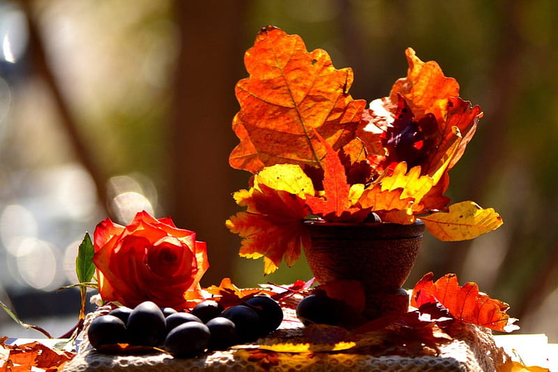Autumn still life, fall, still life, autumn, leaves, bouquet, nature, foliage, HD wallpaper