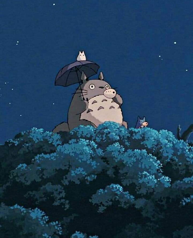 Totoro, animation, anime, hayao miyazaki, my neighbor totoro, studio ghibli,  HD phone wallpaper | Peakpx