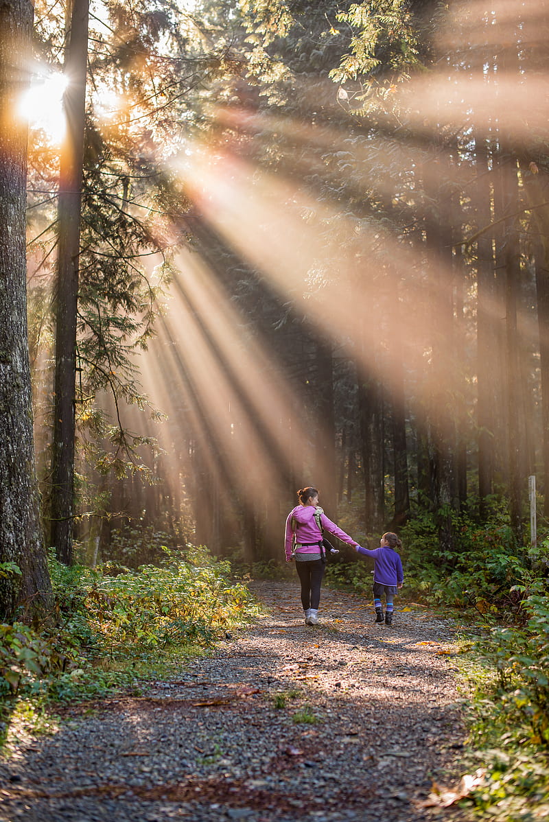 woman walking in forest with child, HD phone wallpaper