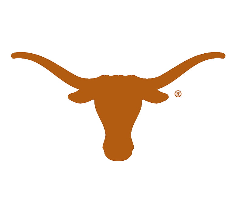 Texas Longhorns, college, football, HD wallpaper