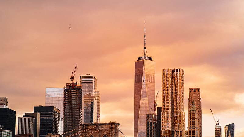 One World Trade Center, sunset, architecture, new york city, skyscrapers, landscape, HD wallpaper