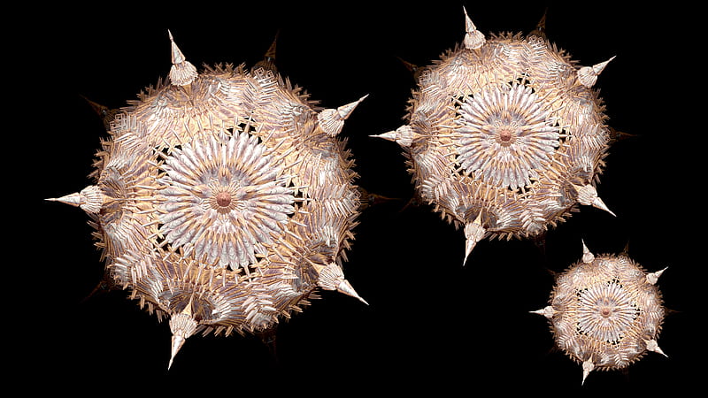 Floating Spores 3d, cgi, fractal, incendia spore, abstract, HD wallpaper