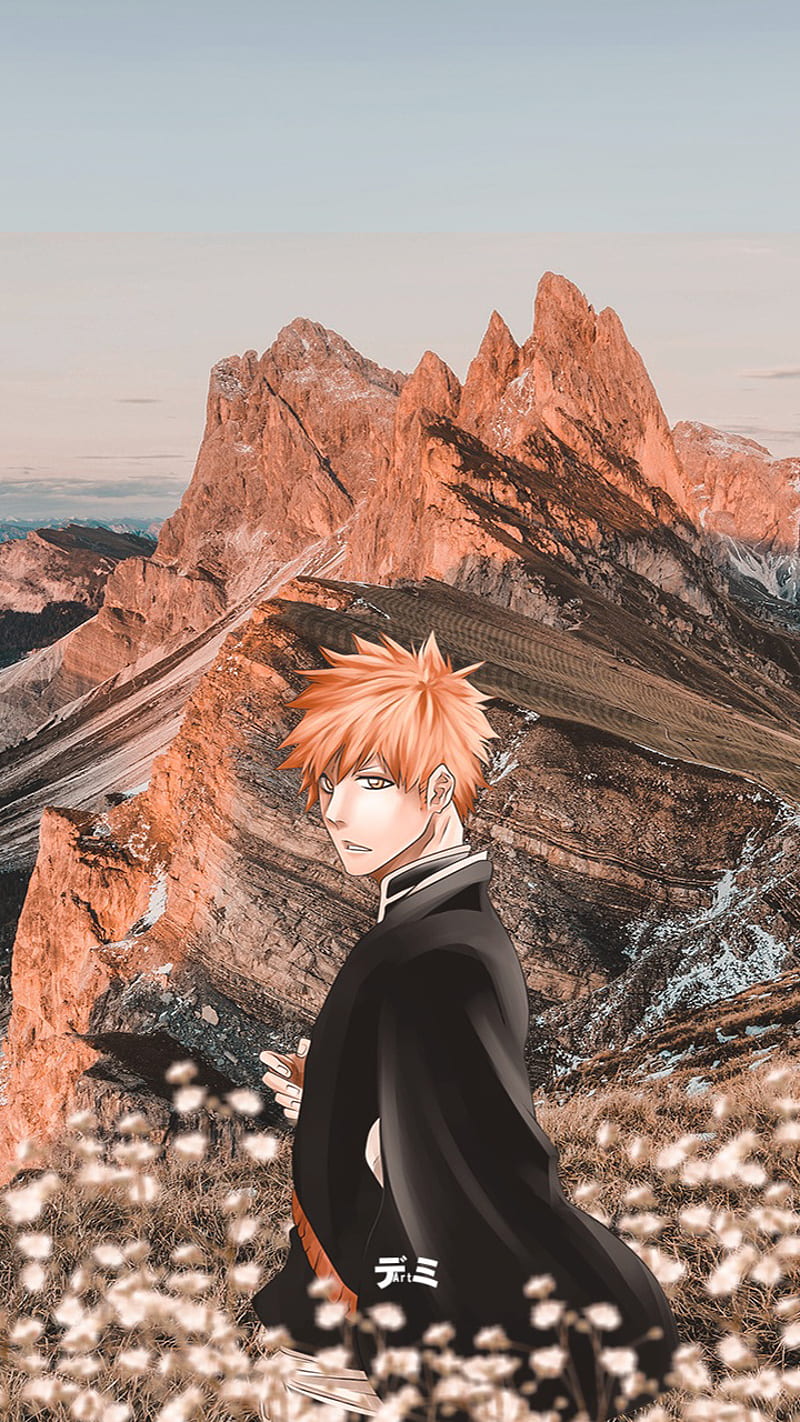 30 Bleach AppleiPhone 11 828x1792 Wallpapers  Mobile Abyss