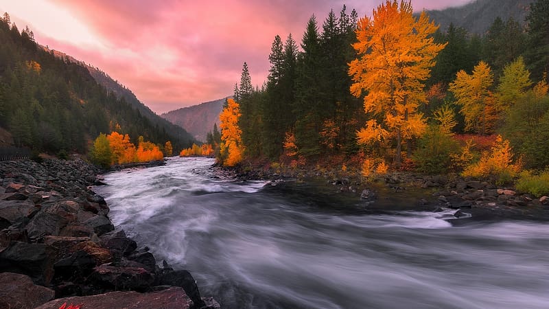 Autumn Forest Stream, river, fall, landscape, clouds, trees, colors ...