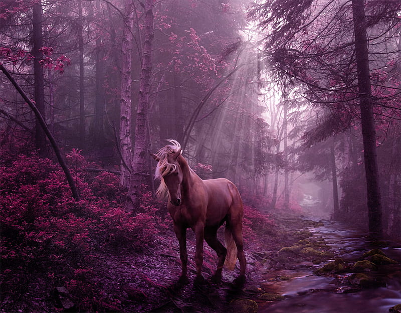 Off the beaten track !, purple, horse, light, far from the truth, HD wallpaper