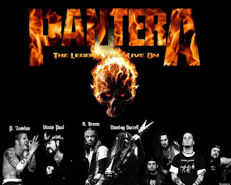Pantera, Dimebag, Cowboys From Hell, Metal, HD wallpaper | Peakpx