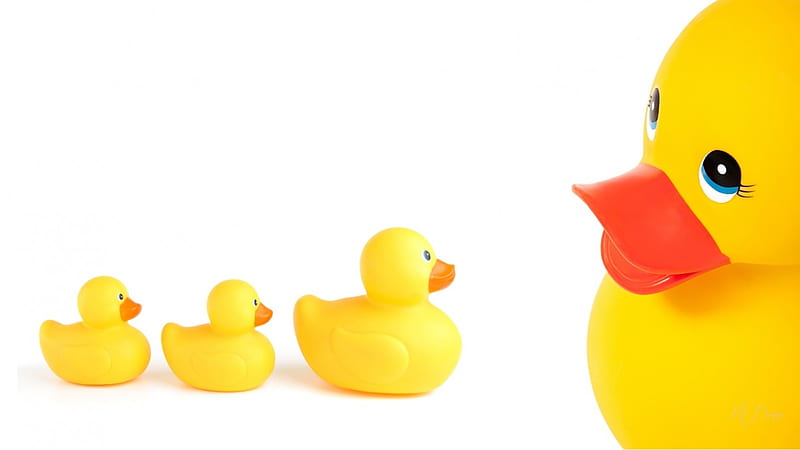 Rubber Ducks, float, tub, children, ducks, bath, rubber, kids, HD wallpaper