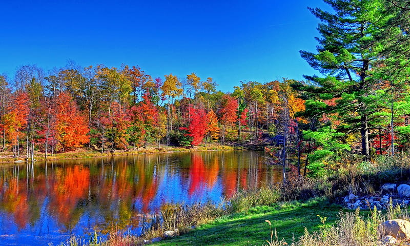 AUTUMN LAKE, forest, autumn, enchanting nature, trees, seasons, water ...