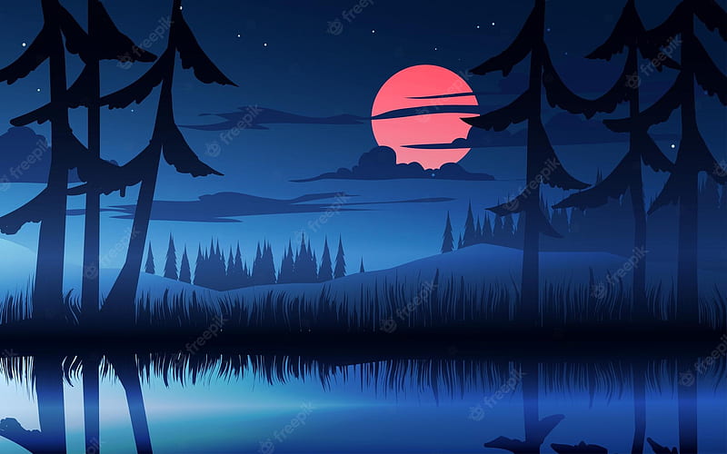 Premium Vector. Beautiful night in forest with pond and moonlight, HD wallpaper