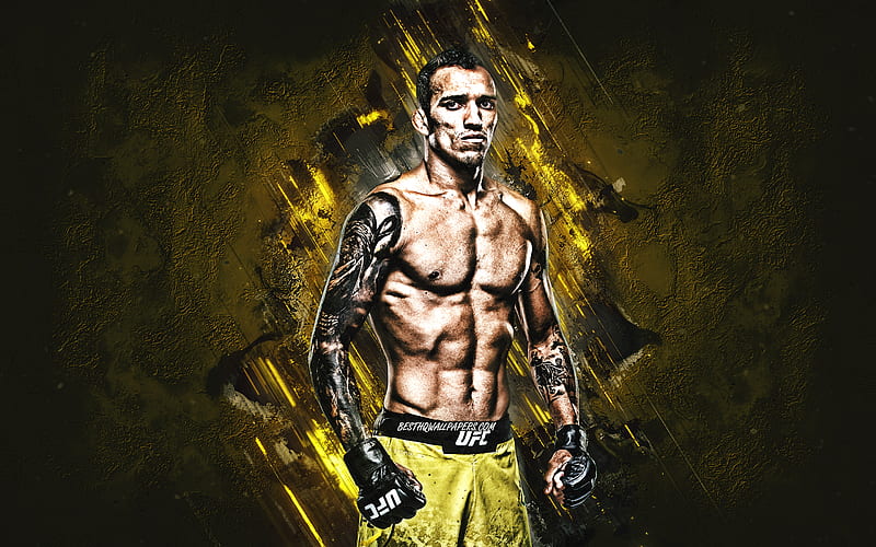 Charles Oliveira, MMA, portrait, brazilian fighter, yellow stone background, creative art, HD wallpaper