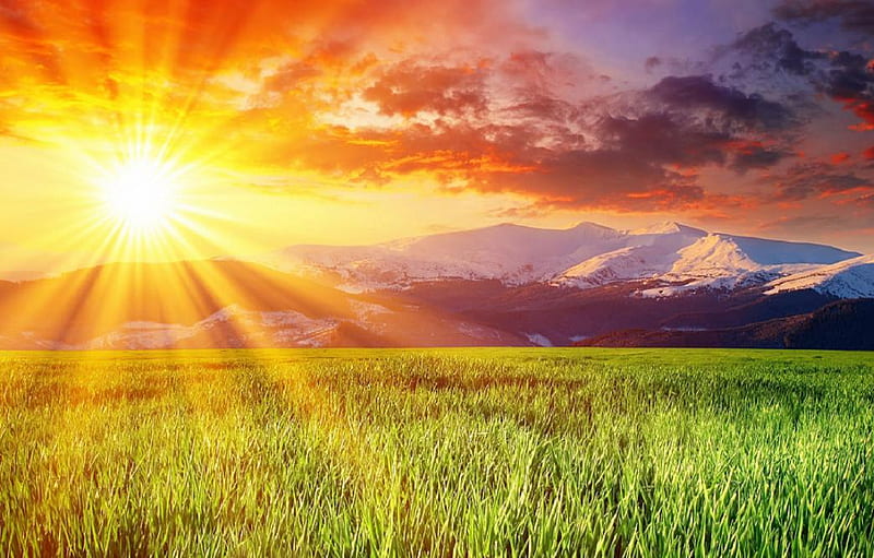 Beautiful sun ray, sun, grass, bonito, sky, clouds, sun ray, nice, green, nature, fields, HD wallpaper