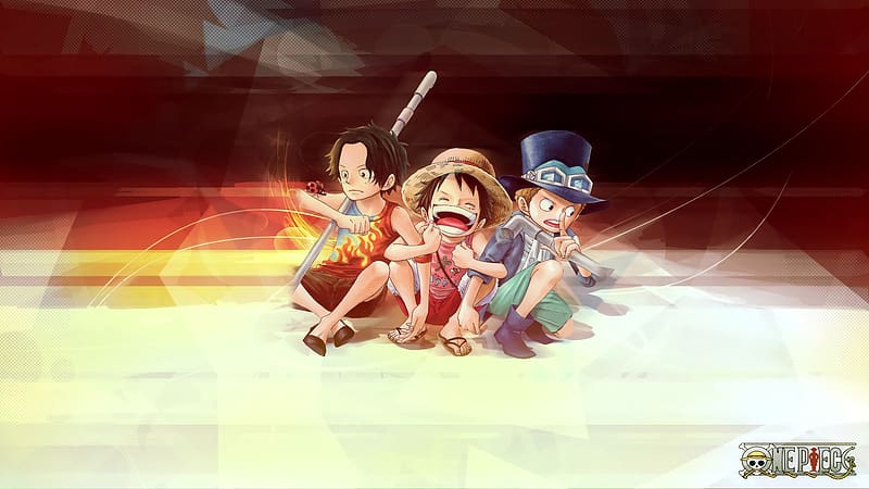 Anime One Piece HD Wallpaper by hakusai