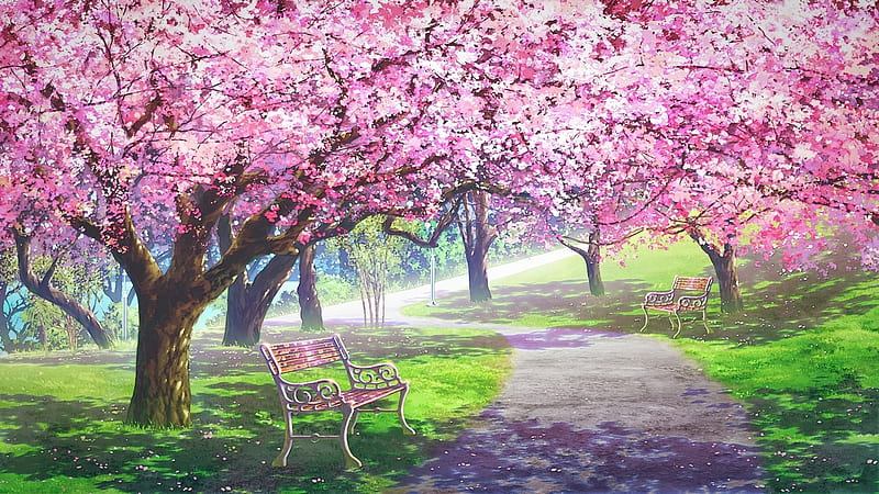 Spring, pink, anime, sakura, game, cherry blossom, HD wallpaper