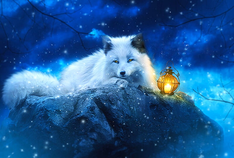 White Fox, snow, Fox, seasons, Lantern, animal, winter, HD wallpaper