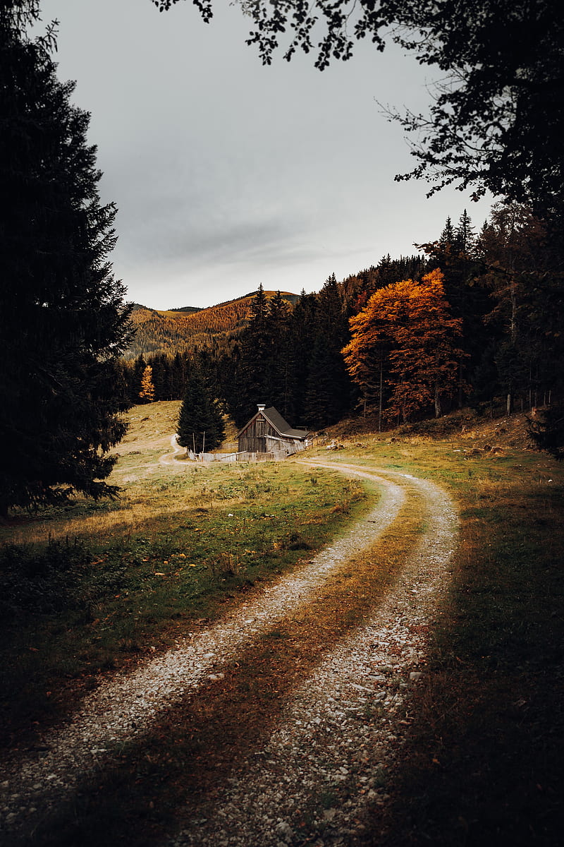 house, forest, path, autumn, HD phone wallpaper