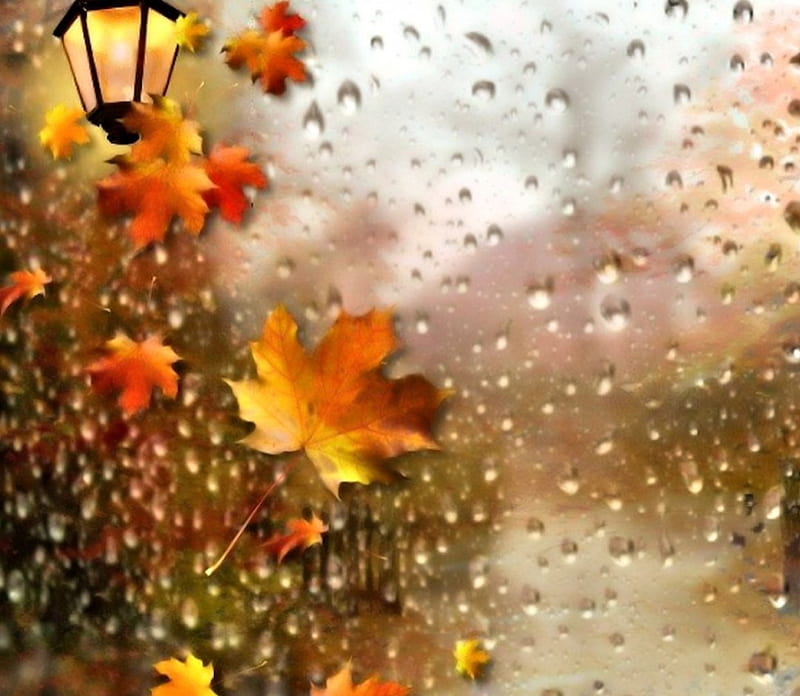 Rainy Autumn Day, rain, Leaves, Lantern, Autumn, HD wallpaper