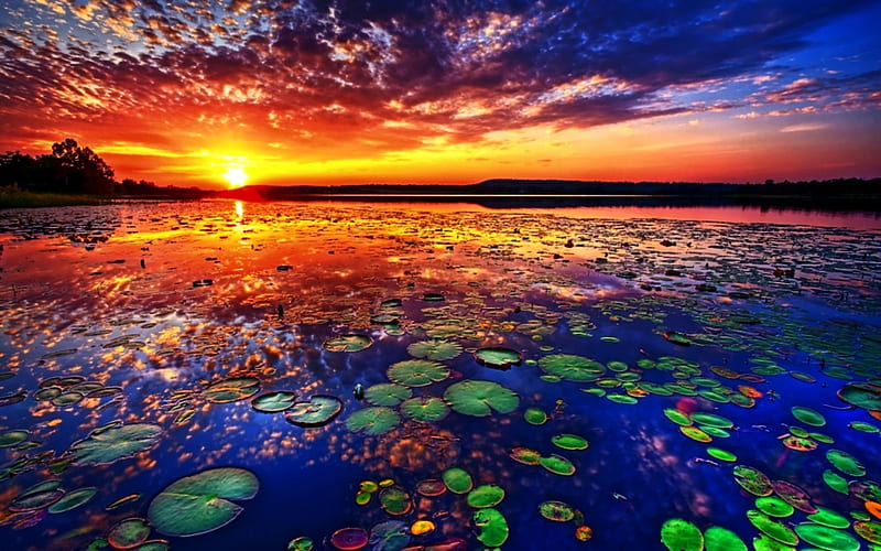 Lake of Lotos, waterlily, sun, water, sunset, clouds, sky, HD wallpaper