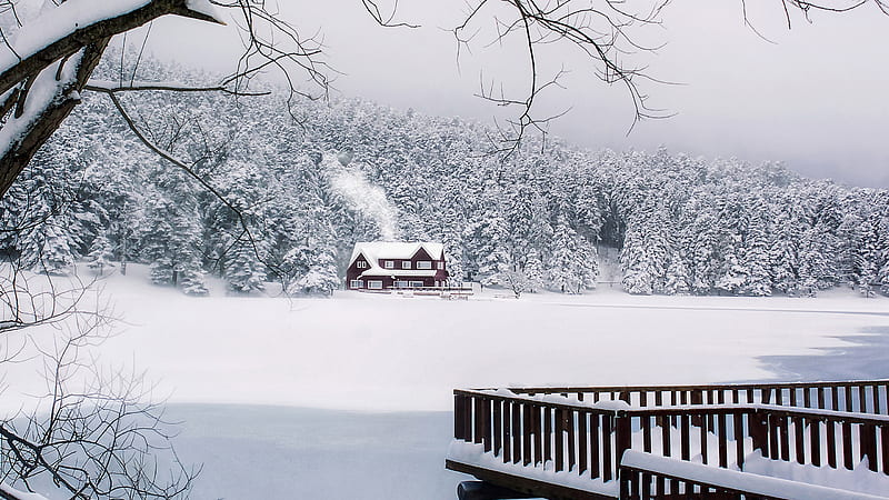 Snow Covered House And Forest Gölcük Lake Turkey Travel, HD wallpaper