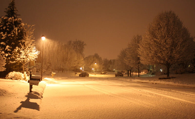 Snowy Night by Street Light, lamp, orange, leesburg, trees, neighborhood, street light, snowing, snow, viriginia, us, street, night, HD wallpaper