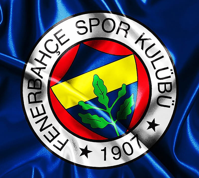 Fenerbahce, club, football, soccer, turkey, turkiye, HD wallpaper