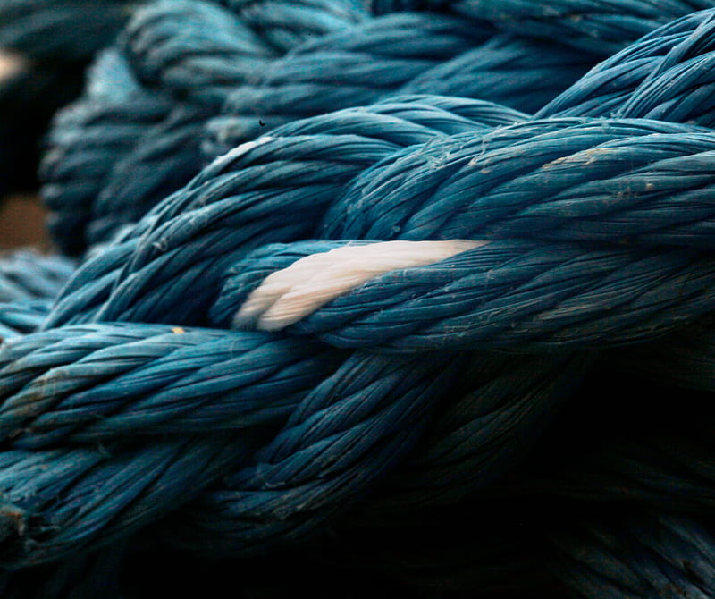 Blue Rope, blueberry, fun, july, summer blue, HD wallpaper