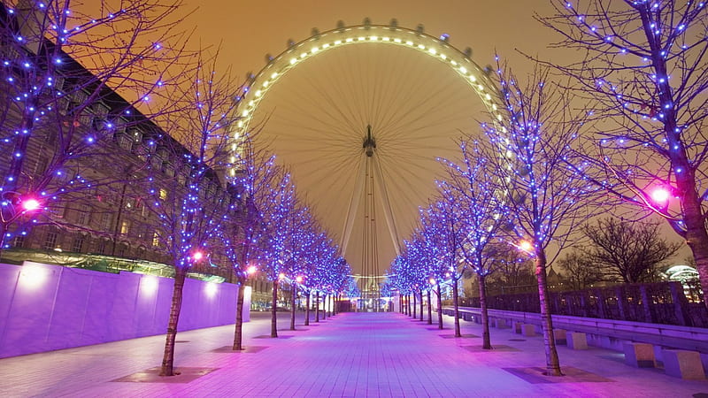 london eye and purple christmas lights, ferris wheel, trees, street, xmas, lights, HD wallpaper