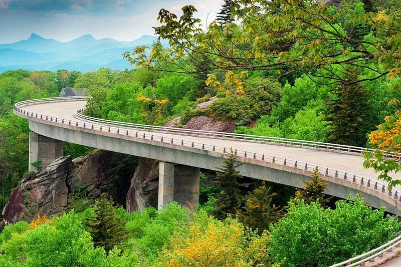 Turn on the bridge, lovely, view, travel, greenery, bonito, trees, mountain, leaves, nice, trip, bridge, plants, summer, turn, road, branches, HD wallpaper