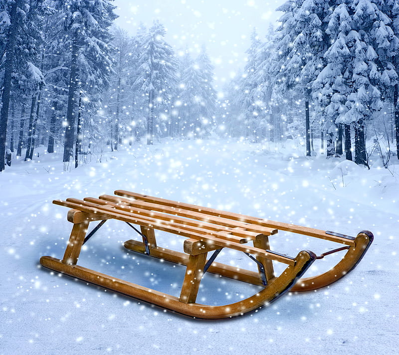 Winter Forest, fir, sledge, snow, tree, white, HD wallpaper