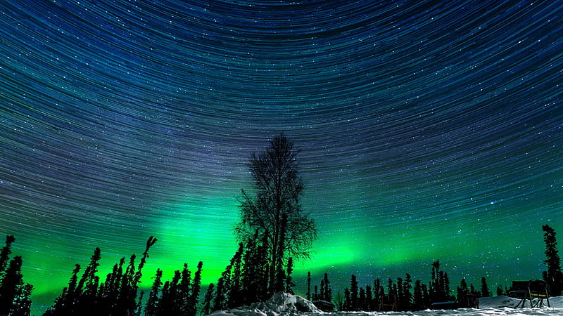 Aurora Borealis, Fairbanks, Alaska, colors, stars, sky, trees, HD wallpaper