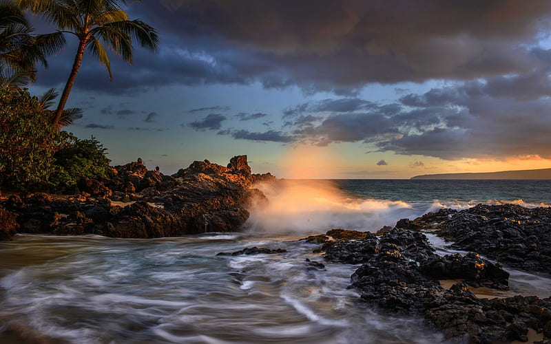 Hawaii, Maui, sunset, coast, ocean, waves, palm trees, Makena Cove, Pacific Ocean, HD wallpaper