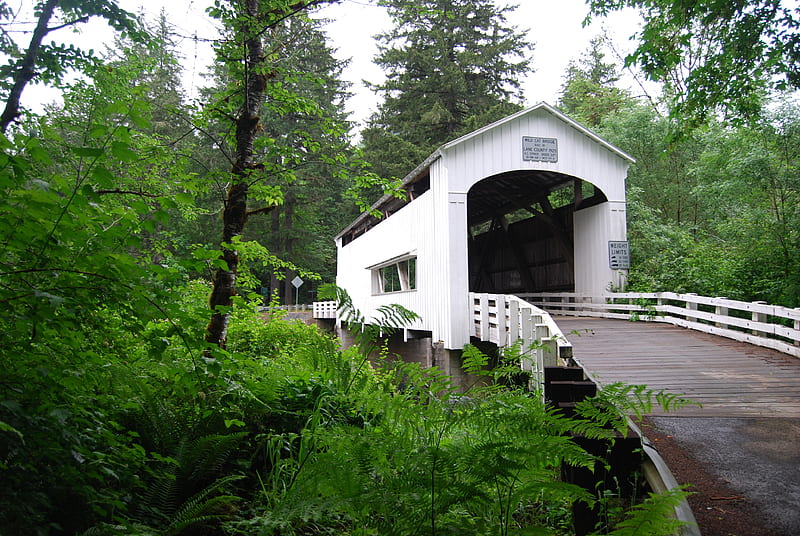 Oregon Wildcat or Austa Covered Bridge, oregon, water, bridge, covered bridge, HD wallpaper