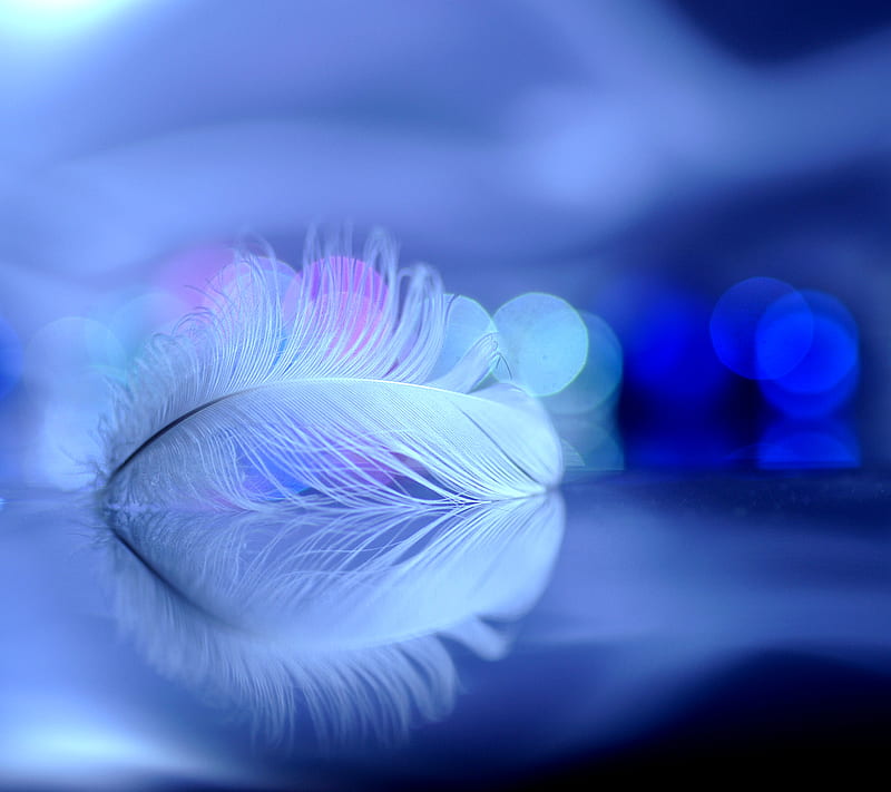 Blue Feather, HD wallpaper