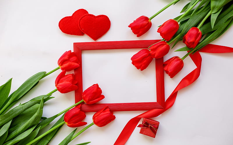 red frame with tulips, spring frame, red tulips, spring flowers, romantic red frame, romantic greeting card template, tulips, HD wallpaper