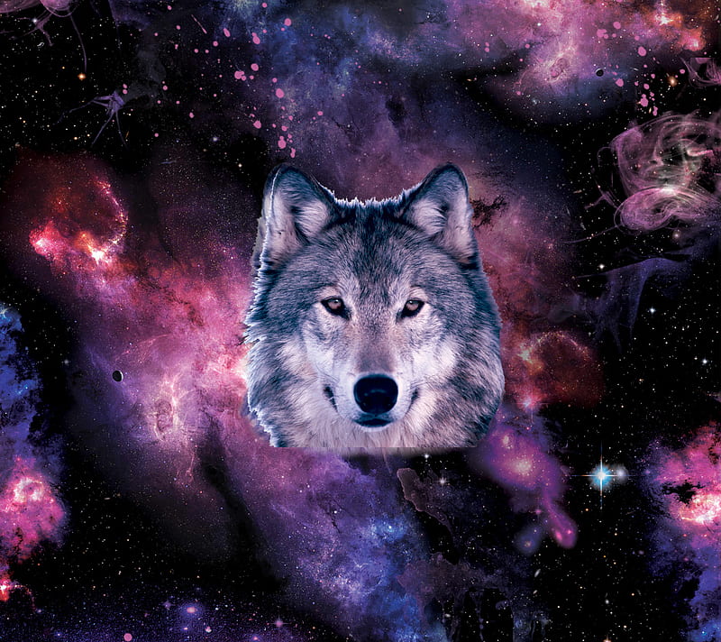 720P free download | Galaxy Wolf, galaksi, kurt, note2, HD wallpaper ...