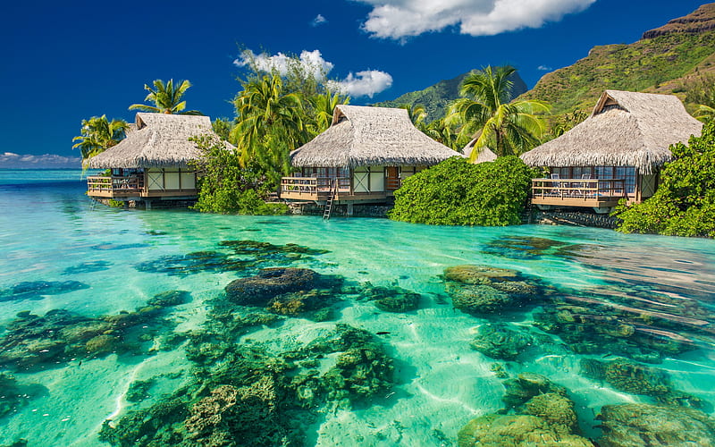 tropical islands, palms, ocean bungalows, corals, resort, HD wallpaper