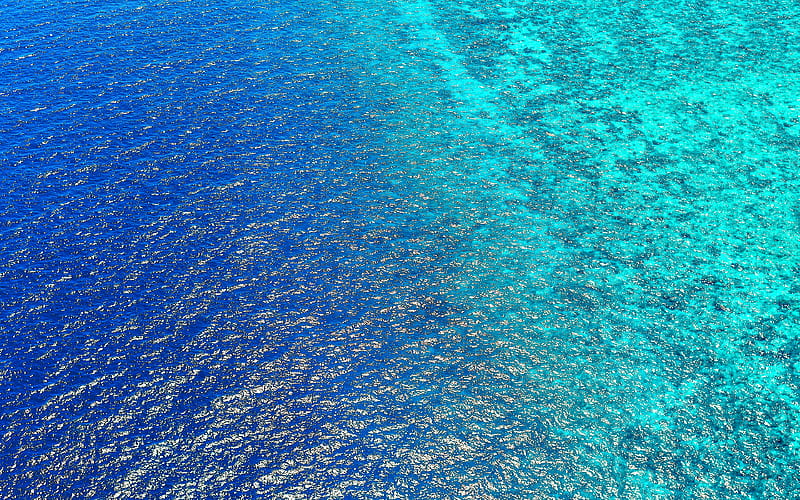 ocean aerial view, tropics, paradise, waves, sea, blue water background, beautiful nature, HD wallpaper