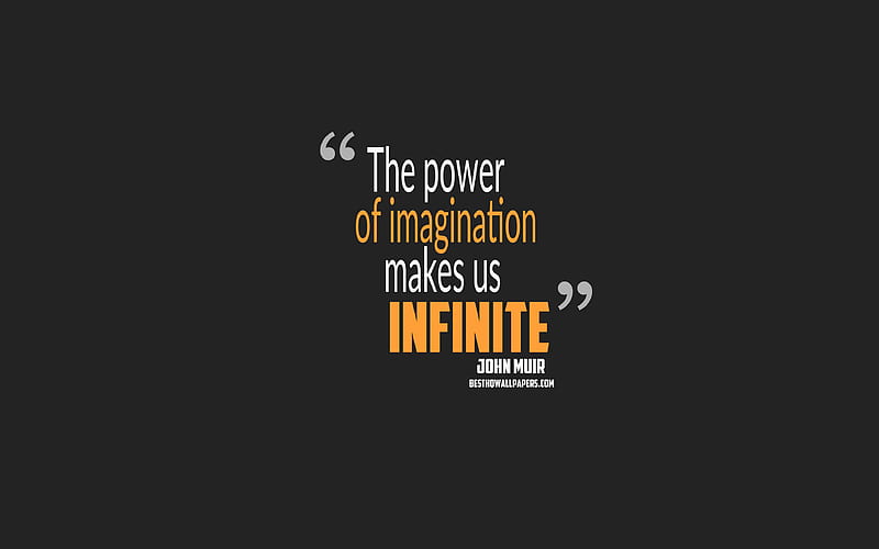 The power of imagination makes us infinite, John Muir quotes, minimalism, quotes about imagination, gray background, popular quotes, HD wallpaper
