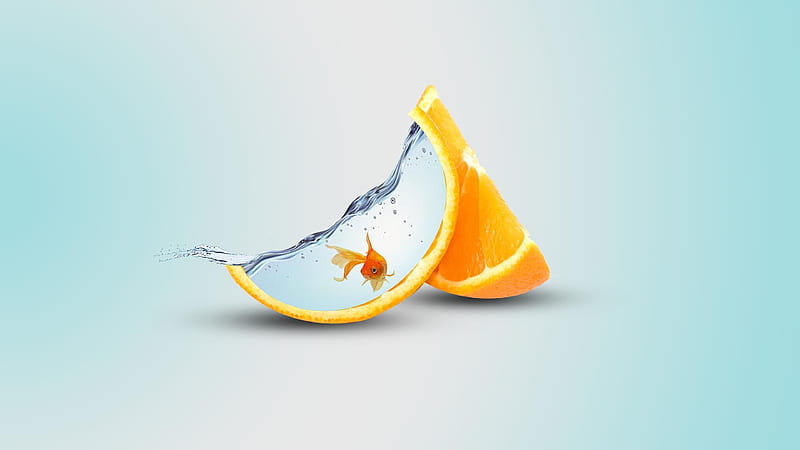 Orange Artwork, orange, artist, fish, water, creative, HD wallpaper
