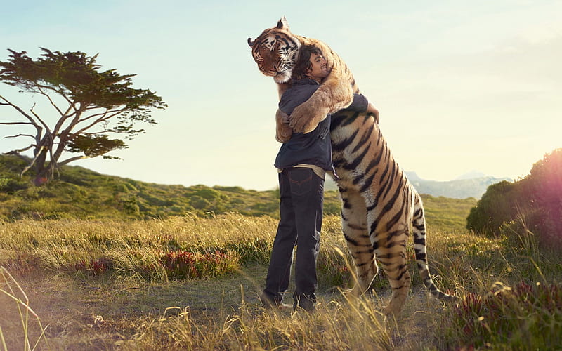 Tiger hug, tiger, friends, animals, HD wallpaper