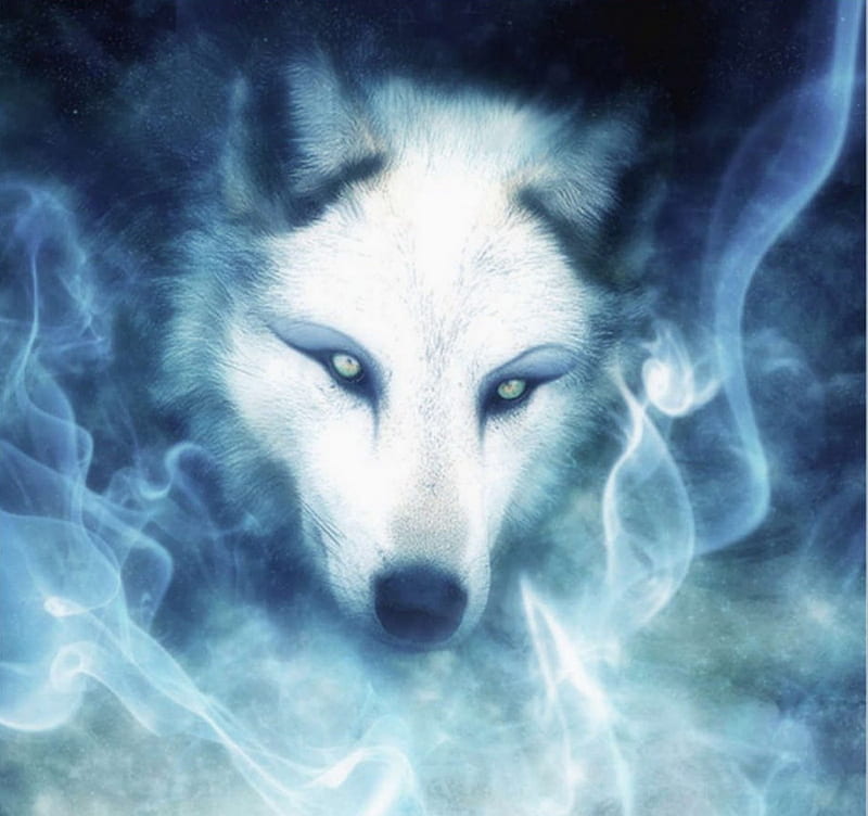 White Wolf, fantasy, abstract, art work, HD wallpaper